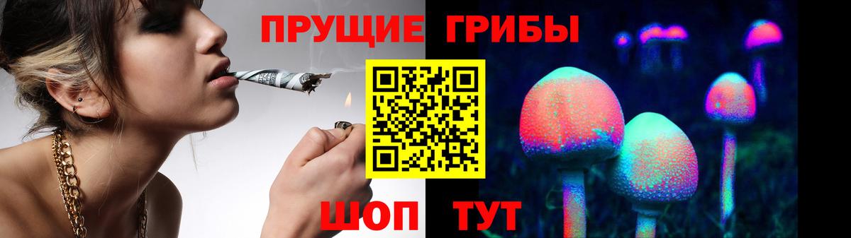 Псилоцибиновые грибы MAGIC MUSHROOMS  Псилоцибиновые грибы прущие грибы  Вход с VPN  Карталы 